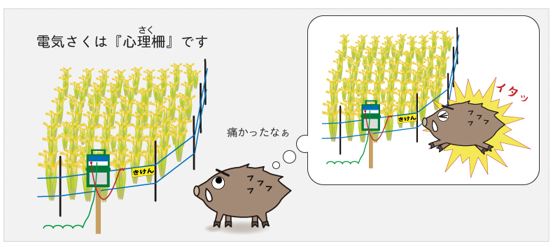 電気さくは　「心理さく」　です