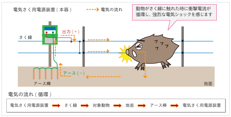 電気さく　電気ショックを感じるしくみ