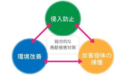 総合的な鳥獣被害対策とは ／タイガー株式会社