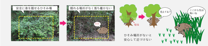 総合的な鳥獣害対策　環境改善　安全に身を隠せる「ひそみ場」をなくす